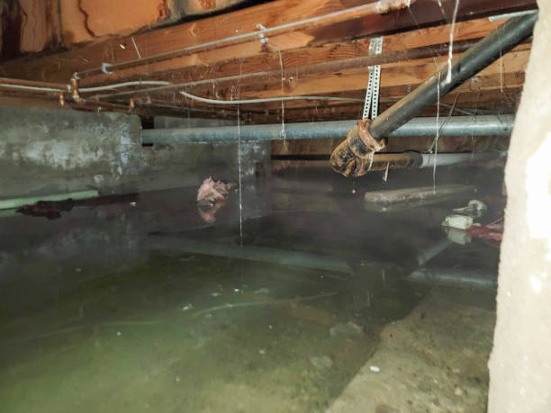 Best Water damage restoration near me  in Sunset, FL