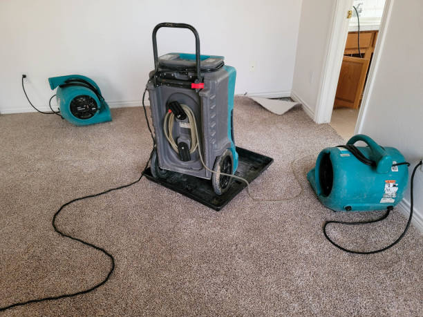 Best Carpet water damage restoration  in Sunset, FL