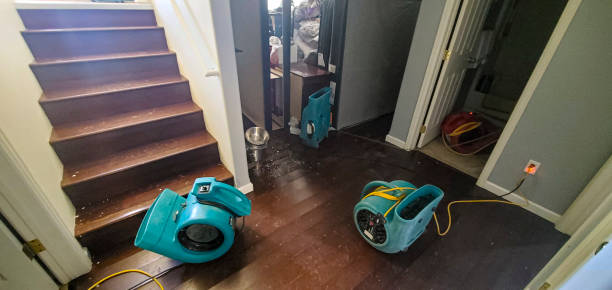 Best Emergency water extraction  in Sunset, FL