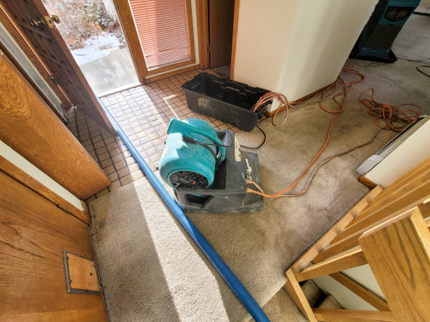 Best Water damage cleanup near me  in Sunset, FL