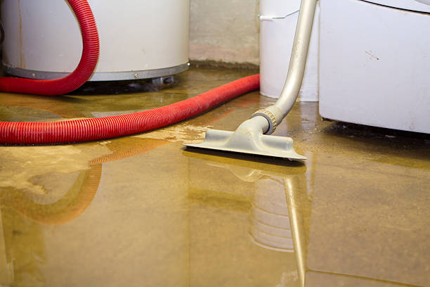 Best Carpet water damage restoration  in Sunset, FL