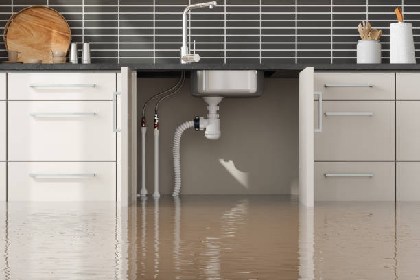 Best Water damage restoration near me  in Sunset, FL